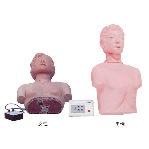 半身心肺復(fù)蘇訓(xùn)練模擬人 KAS-CPR170