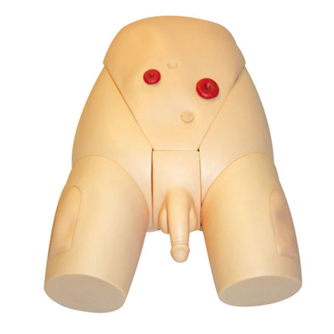  高級整體男性導(dǎo)尿模型 KAS-E1