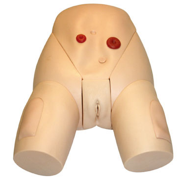  高級整體女性導(dǎo)尿模型 KAS-E2