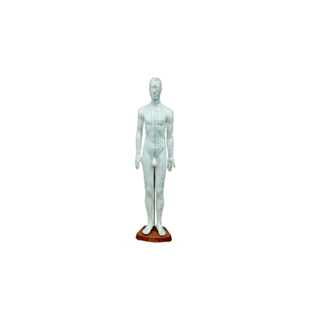  標準針灸模型60cm