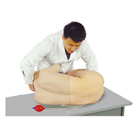  腰椎穿刺訓練模型KAR/CK811