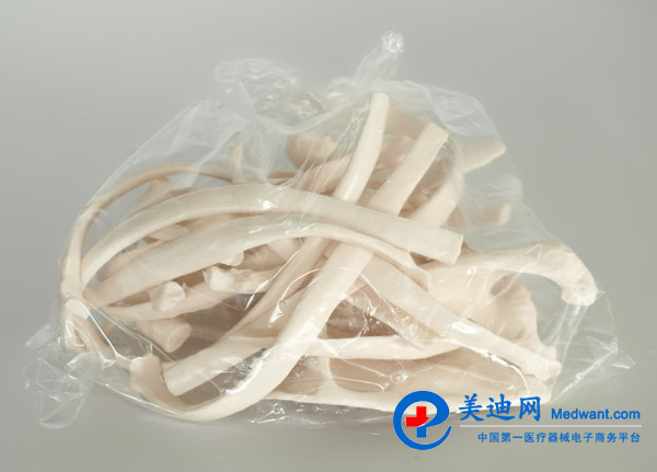 益聯  全身散骨模型  自然大  YLM/A11103